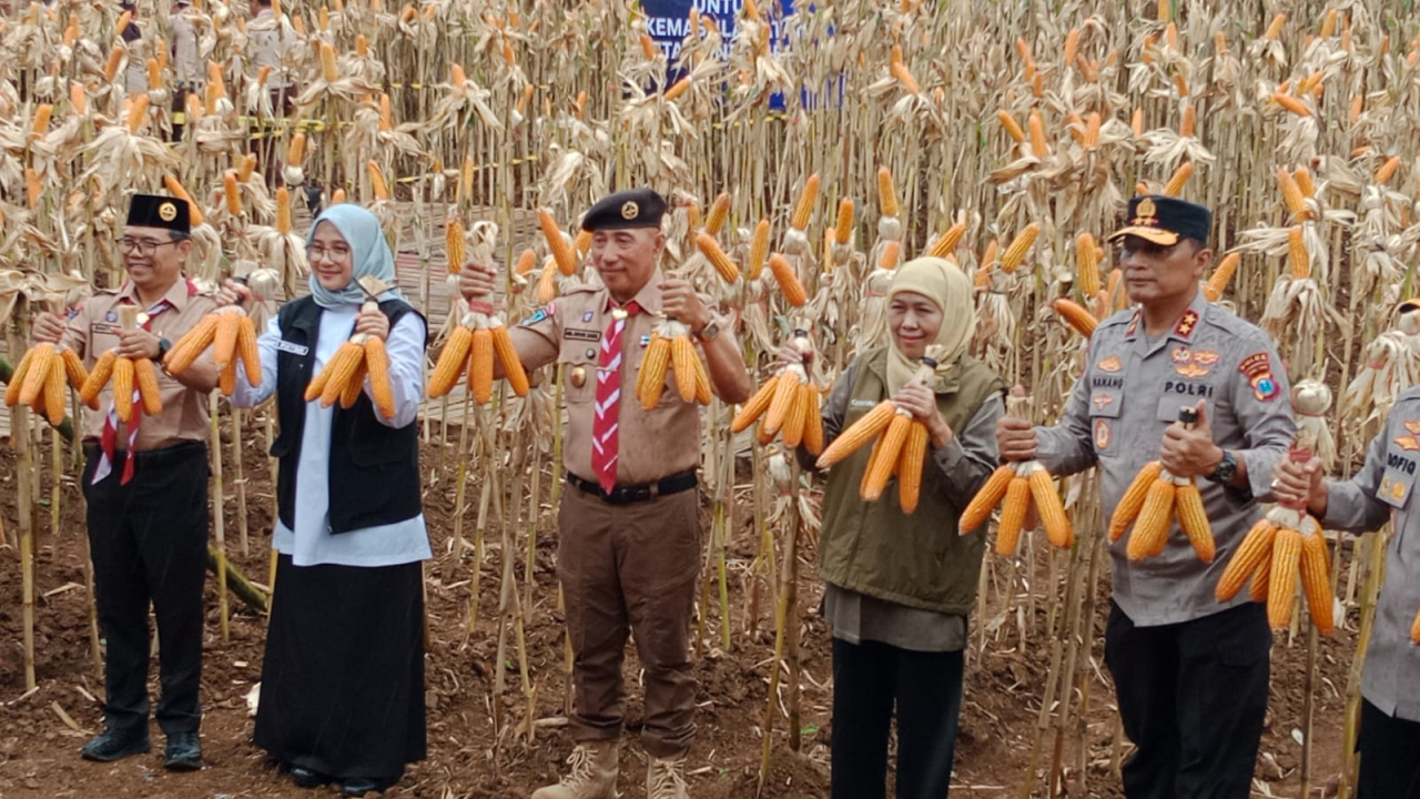Pramuka Produktif di Green Farm Banyuwangi, Khofifah: Jatim Menuju Kedaulatan Pangan Nasional