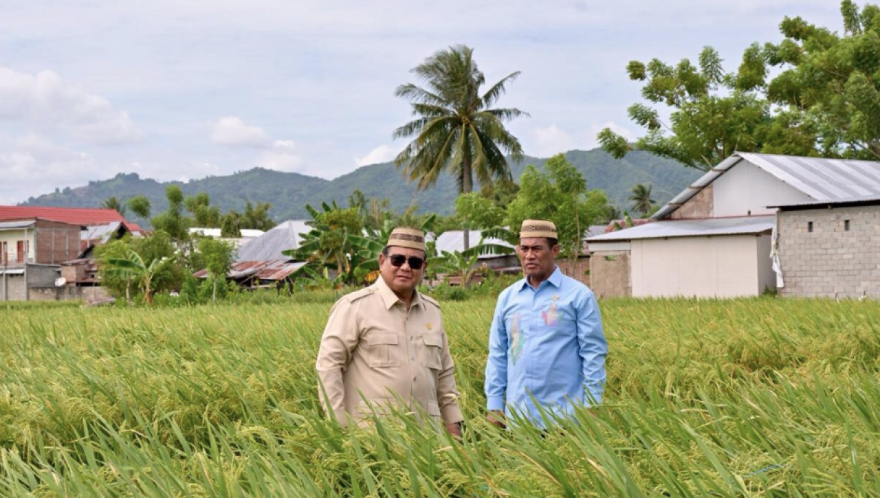 Presiden Prabowo Subianto didampingi Menteri Pertanian Andi Amran Sulaiman meninjau Teknologi Budidaya Padi Pertanian Modern Model Advanced Agricultural System (PM-AAS) serta area Gelar Teknologi di Kabupaten Gorontalo, Provinsi Gorontalo, pada Ra