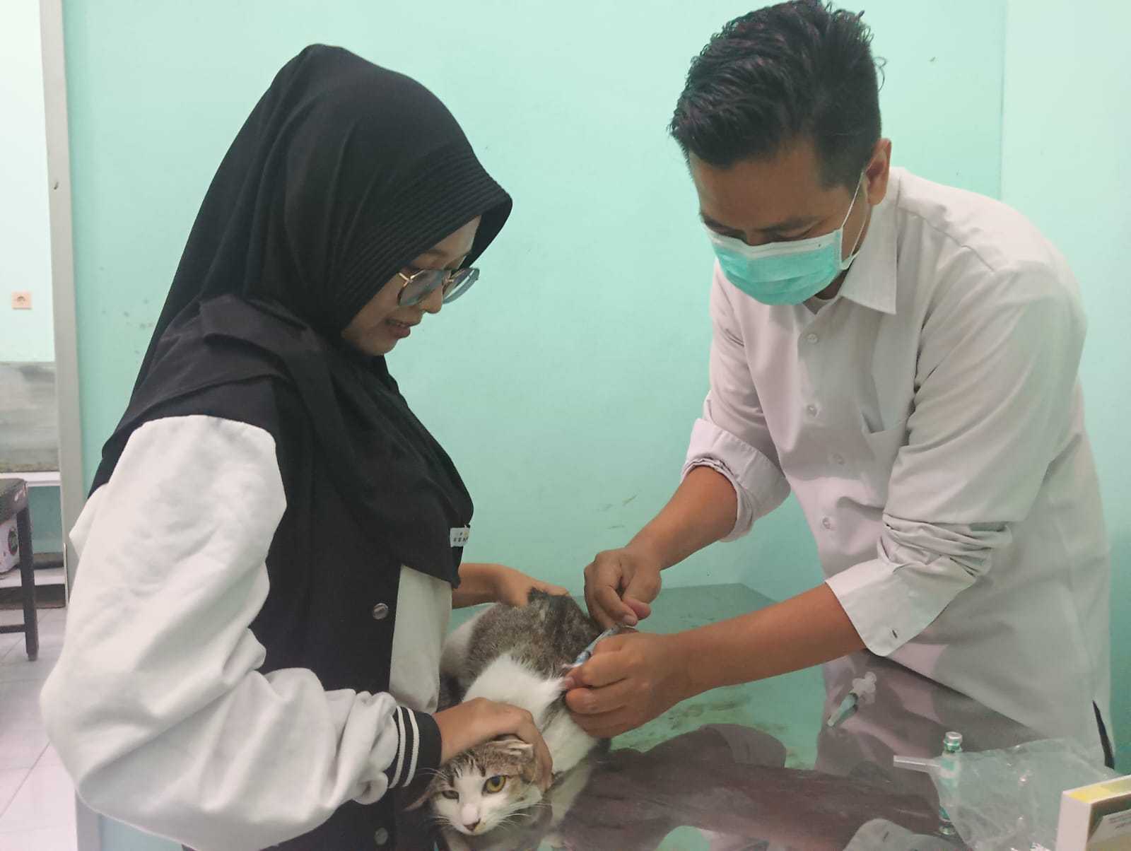 Pemkot Mojokerto Gelar Vaksinasi Rabies Gratis dalam Peringatan World Rabies Day 2024