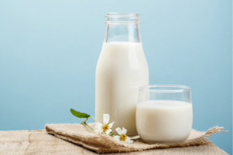 Ilustrasi susu (ANTARA/Shutterstock)

