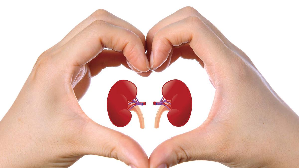 Ilustrasi gambar (Shutterstock)