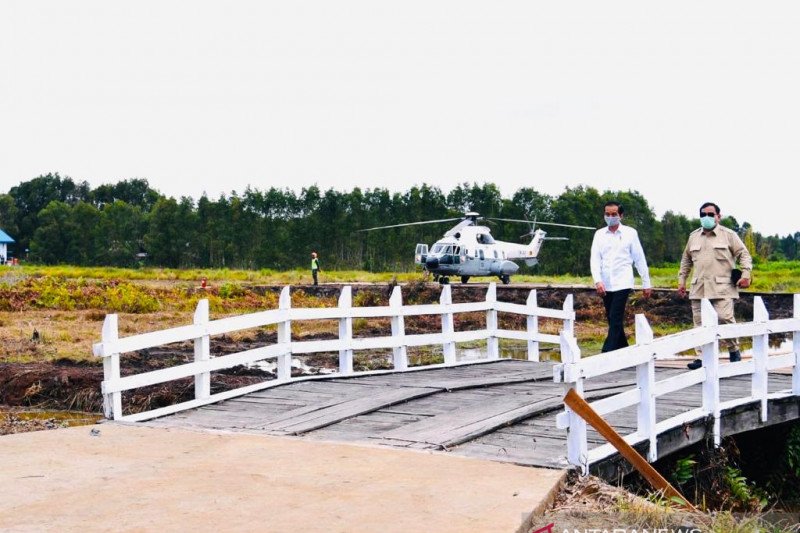 Presiden Jokowi didampingi sejumlah Menteri termasuk Mentan Syahrul Yasin Limpo dan Menhan Prabowo Subianto meninjau lokasi food estate di Kalteng, Kamis (9/7/2020) (Biro Pers Setpres)

