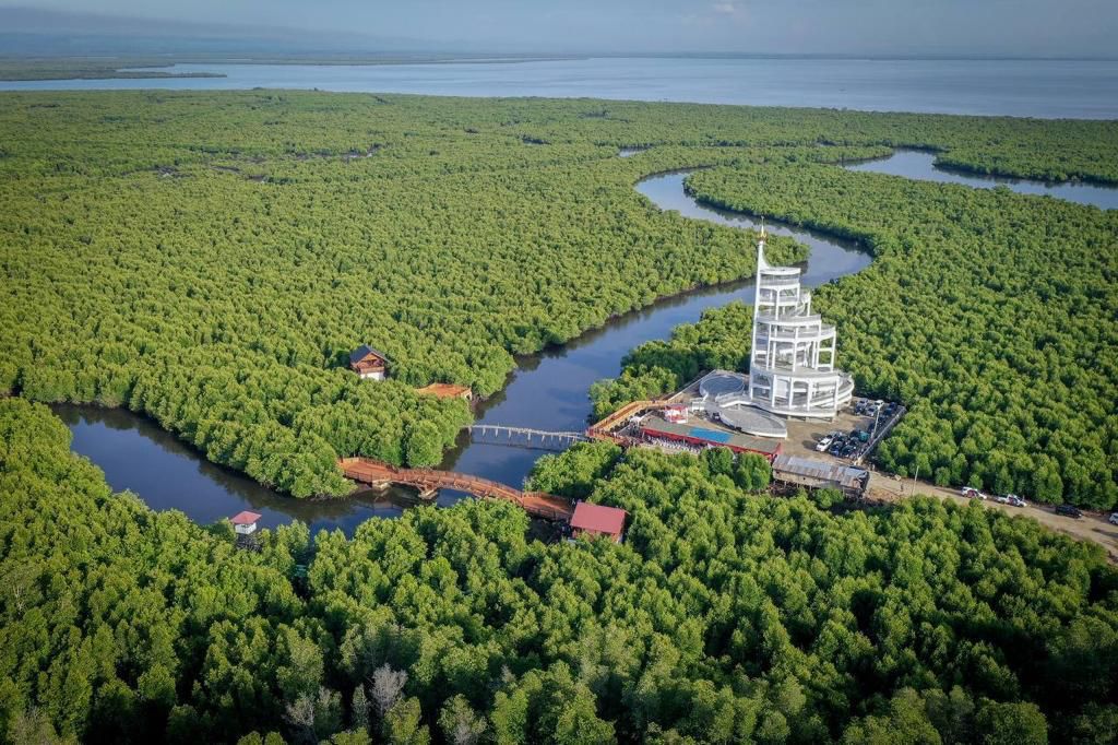 Tower Mangrove Forest Park Langsa di Aceh yang diharapkan bisa menjadi ikon pariwisata baru di provinsi Aceh.  hadirnya ikon pariwisata baru di Aceh, khususnya di Kota Langsa.