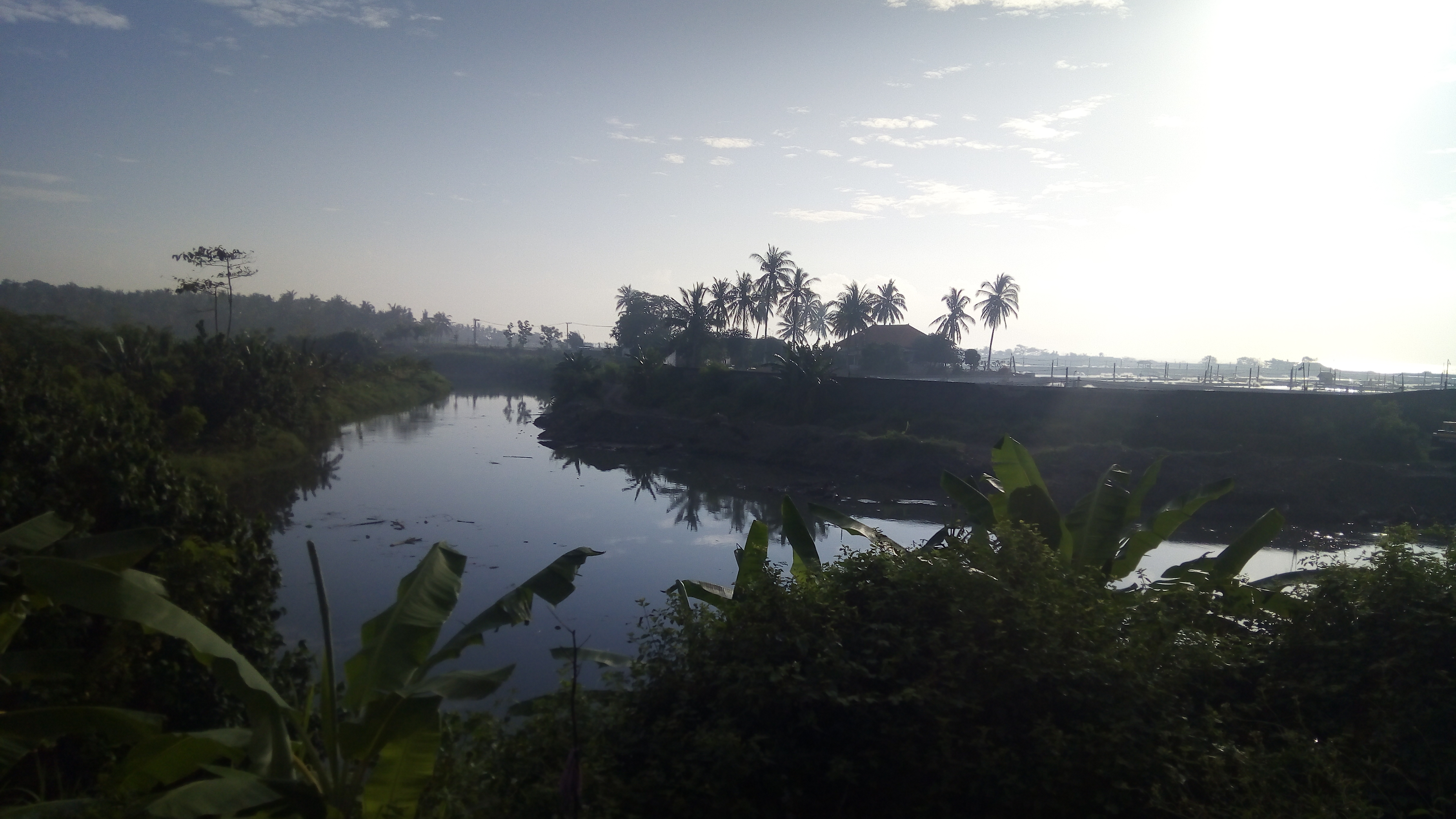 Kondisi Sungai Dusun Blibis Desa Patoman Kecamatan Blimbingsari Kab. Banyuwangi yang dijadikan lokasi penambangan pasir ilegal. 