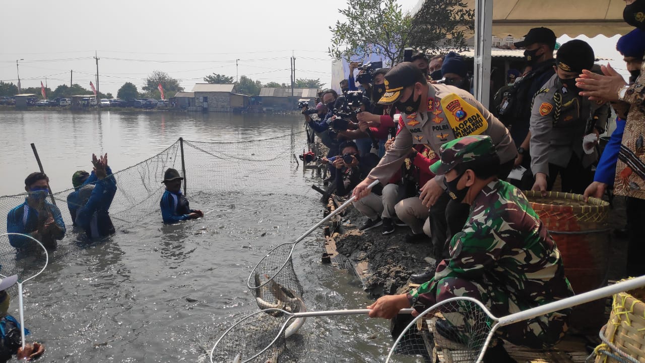 Kapolda Jatim bersama Pangdam V Brawijaya ketika memanen udang di Desa Kalianyar, Kecamatan Sedati, Sidoarjo, Kamis (9/7/2020).