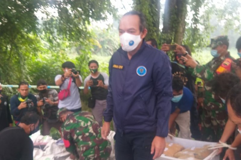 Deputi Pemberantasan dan Penindakan BNN Irjen Pol Arman Depari memeriksa barang bukti ganja. (ANTARA/Munawar)