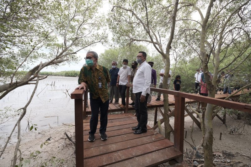 Selasar jelajah mangrove di Gresik, Jawa Timur. ANTARA/HO-KKP

