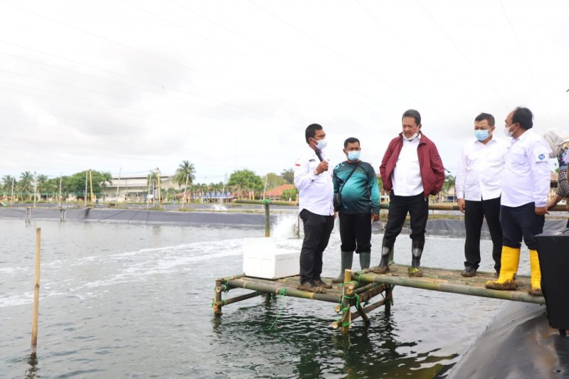 Menteri Kelautan dan Perikanan Sakti Wahyu Trenggono (berjaket merah) melihat tambak udang di Karawang, Jabar, Kamis (7/1/2020). ANTARA/HO-KKP