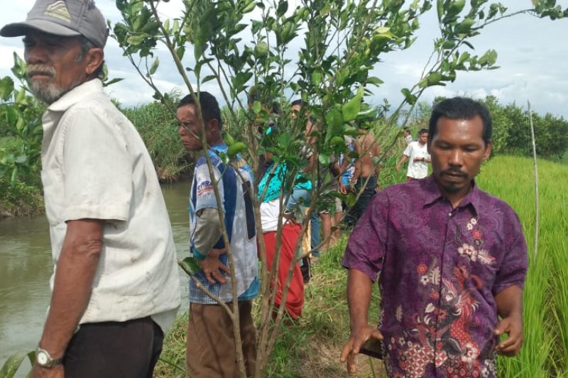
Warga Ujung Gading Kabupaten Pasaman Barat, Sumbar melakukan pencarian terhadap seorang warga yang hilang diduga diterkam buaya, Ahad (17/1/2021).
