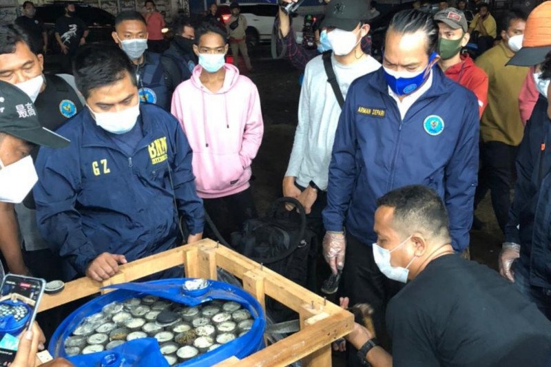 Deputi Bidang Pemberantasan BNN Irjen Pol Arman Depari (kanan) menyaksikan pembongkaran ganja di dalam puluhan paralon dalam operasi yang digelar di kawasan Parung, Bogor, Jawa Barat, Selasa (9/2/2021). (ANTARA/HO-Badan Narkotika Nasional)
