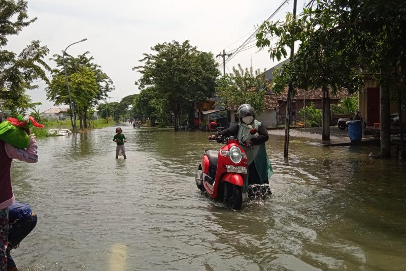 Ketinggian air, antara 10-80 cm, dan tertinggi terjadi di Desa Guranganyar, tepatnya di Perum Prismaland. ANT