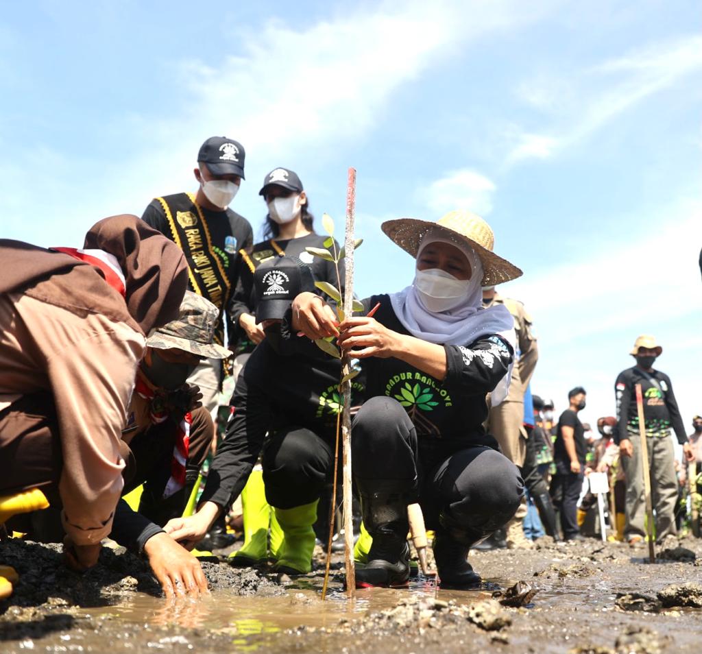 Gubernur Khofifah pada kegiatan 'Nandur Mangrove', yang diselenggarakan di Pantai Bohay, Kabupaten Probolinggo, Minggu (26/12) 