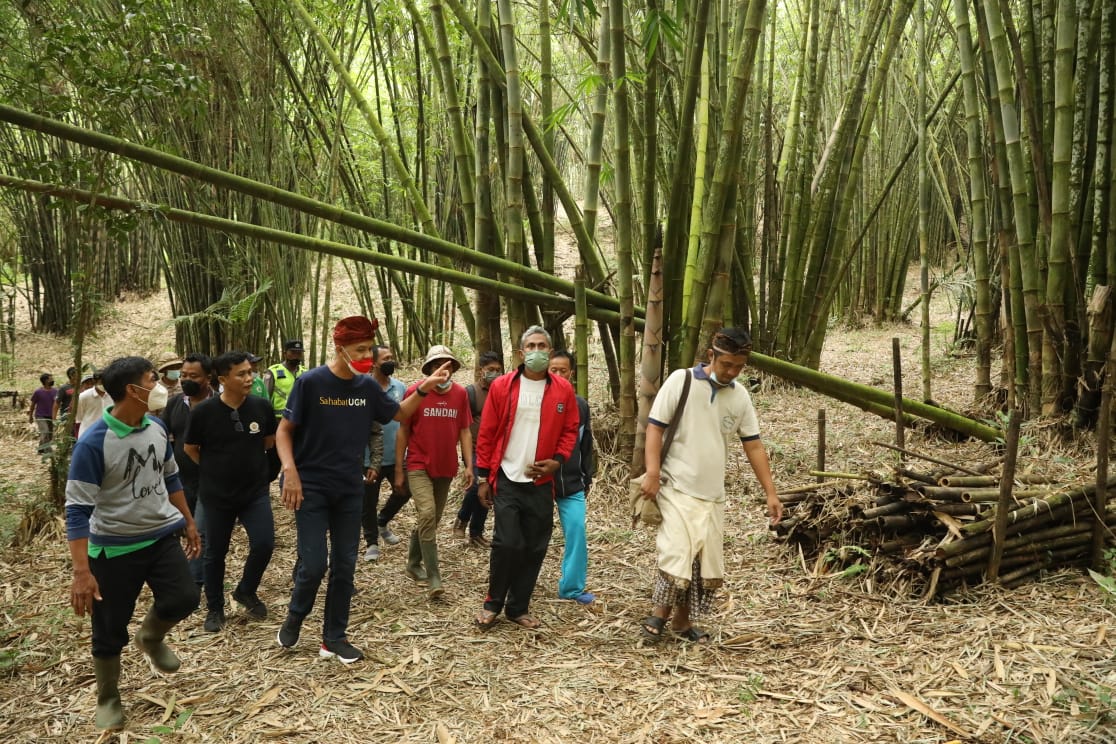 Ganjar Pranowo diusulkan dipakai sebagai nama sebuat bukit yang jadi pusatnya tanaman bambu di Tabanan, Bali.