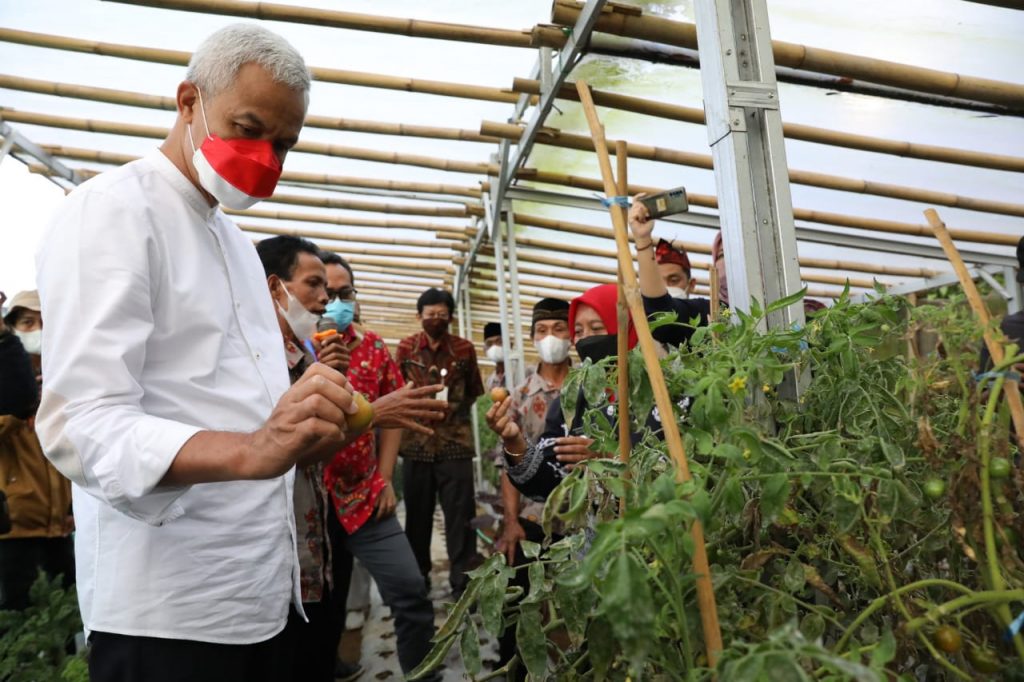 Gubernur Jawa Tengah, Ganjar Pranowo mengunjungi kelompok petani di Desa Batur Kecamatan Getasan Kabupaten Semarang, Jumat (13/5/2022).