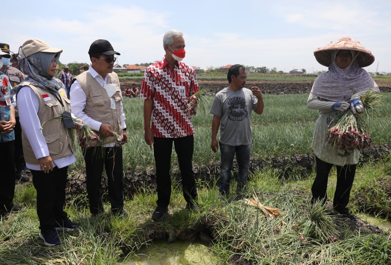 Ganjar Dorong Pemulihan Lahan Pertanian