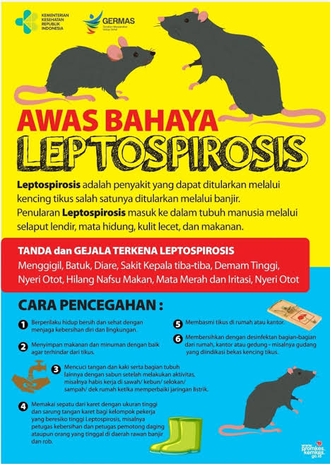 Leptospirosis bukan disebabkan oleh virus, melainkan oleh bakteri Leptospira.
