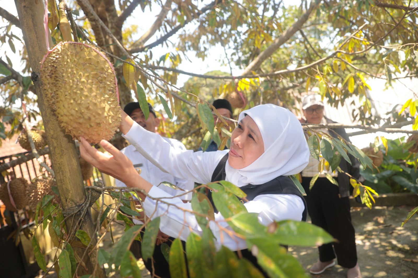 Gubernur Jawa Timur Khofifah Indar Parawansa menyambangi Kampung Durian di RT 03 RW 01 Dusun Kembang Manyul, Desa Girimulyo, Kabupaten Ngawi, Sabtu (11/3). 