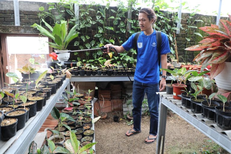Hari Tani Nasional, Pemprov Terus Dorong Lahirnya Petani Milenial