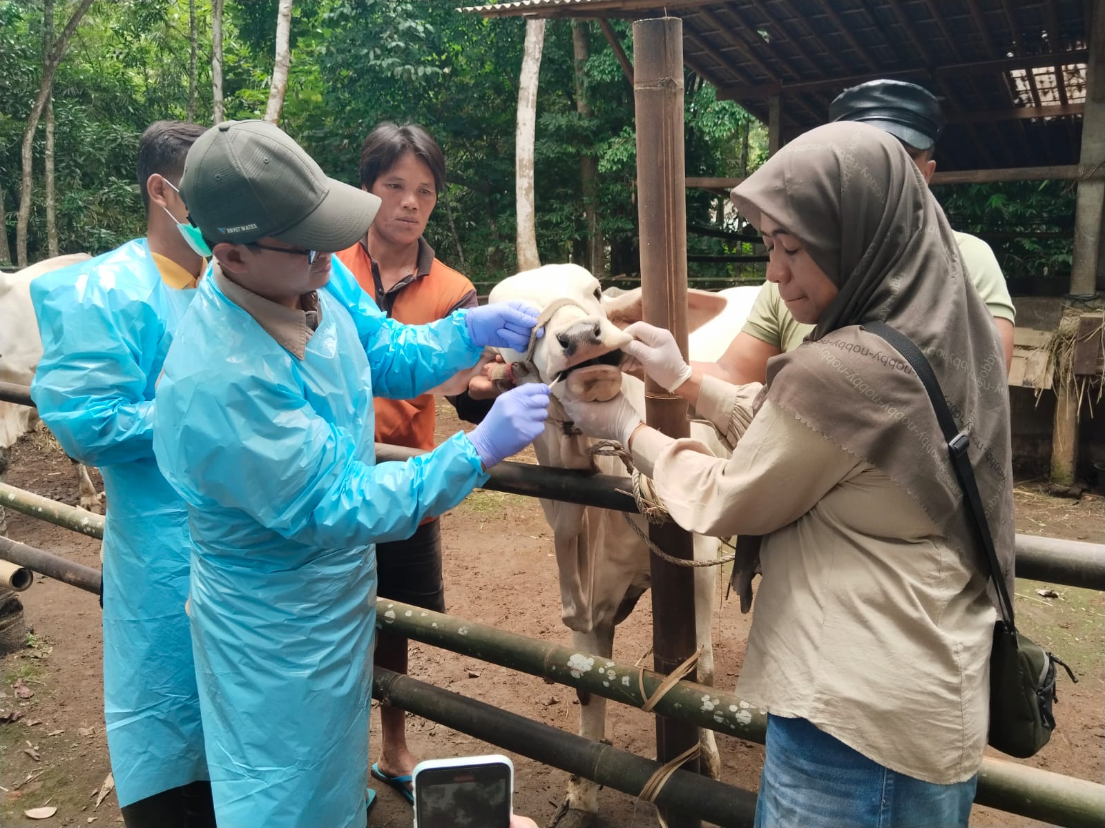 Melalui langkah-langkah seperti vaksinasi, disinfeksi kandang, dan pembentukan tim khusus, upaya eliminasi penyakit yang disebabkan oleh Apthovirus