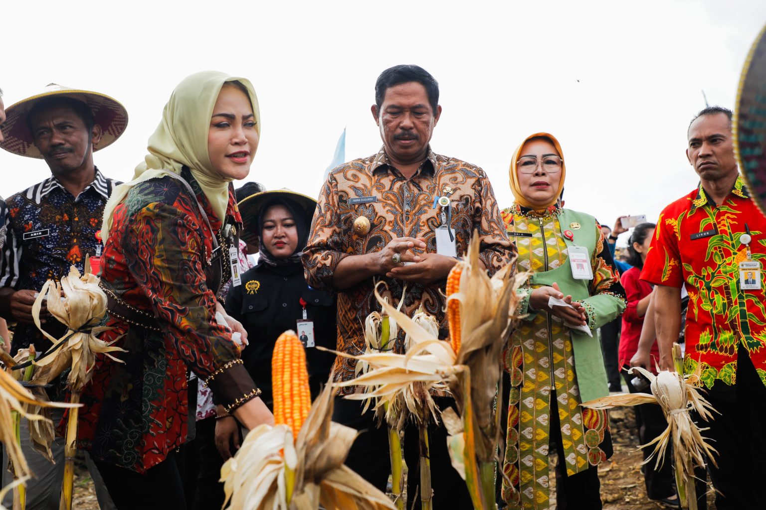 Penjabat Gubernur Jawa Tengah, Nana Sudjana, bersama Kelompok Tani Hutan (KTH) melaksanakan panen raya jagung di lahan seluas 578 hektare di Desa Tegalsumur, Kecamatan Brati, Kabupaten Grobogan, Selasa (14/1/2025).