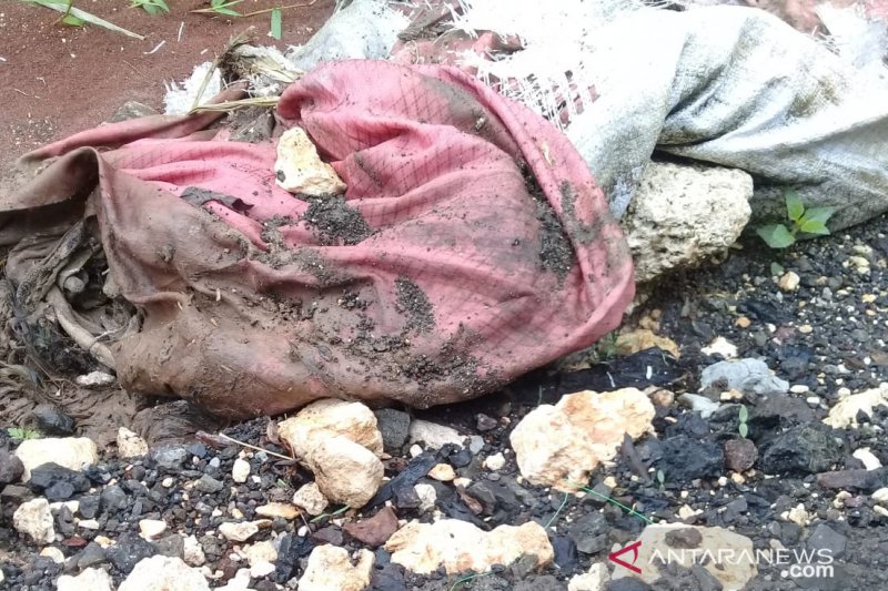 Penemuan kerangka manusia di saluran air belakang Kantor Lembaga Ilmu Pengetahuan Indonesia (LIPI), Cibinong, Kabupaten Bogor, Jawa Barat, Senin (2/11/2020). (ANTARA/HO-Polres Bogor)

