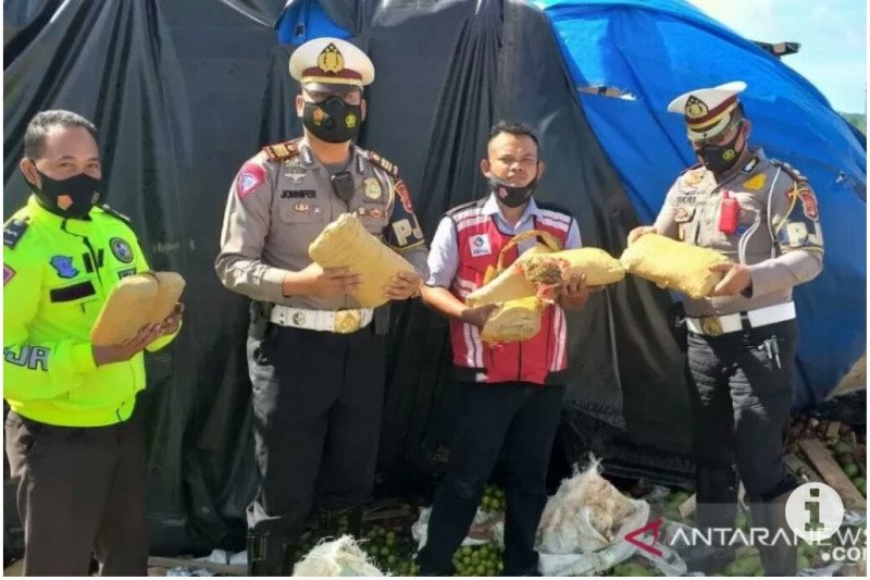 Truk pembawa ganja yang terguling di jalan tol (ANTARA/Ardiansyah)

