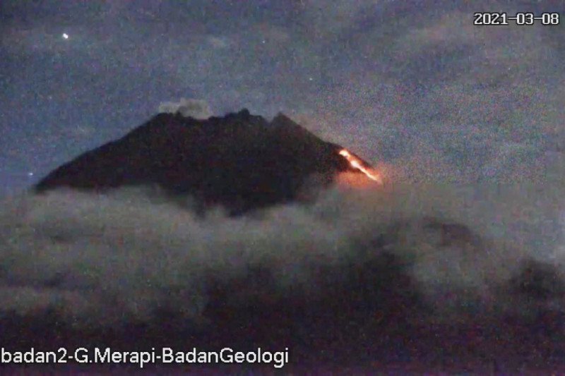 Gunung Merapi meluncurkan awan panas guguran dengan jarak luncur sejauh 1.300 meter ke arah barat daya pada Senin (8/3) pagi. (ANTARA/HO/twitter BPPTKG)
