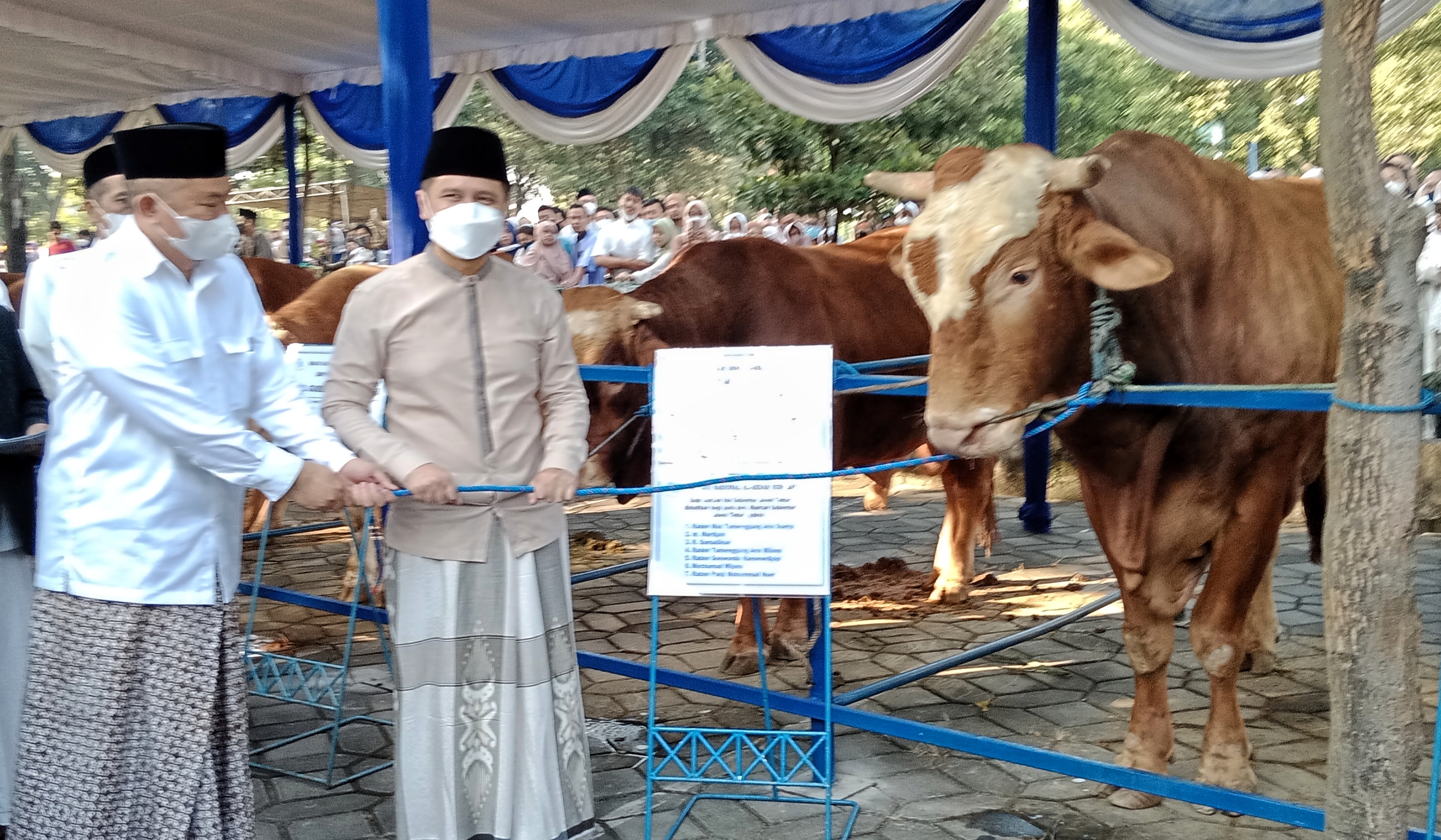 Plt Gubernur Jatim, Emil Elestianto Dardak menyerahkan sapi kurban usai Sholat Idul Adha, Minggu (10/7/2022).