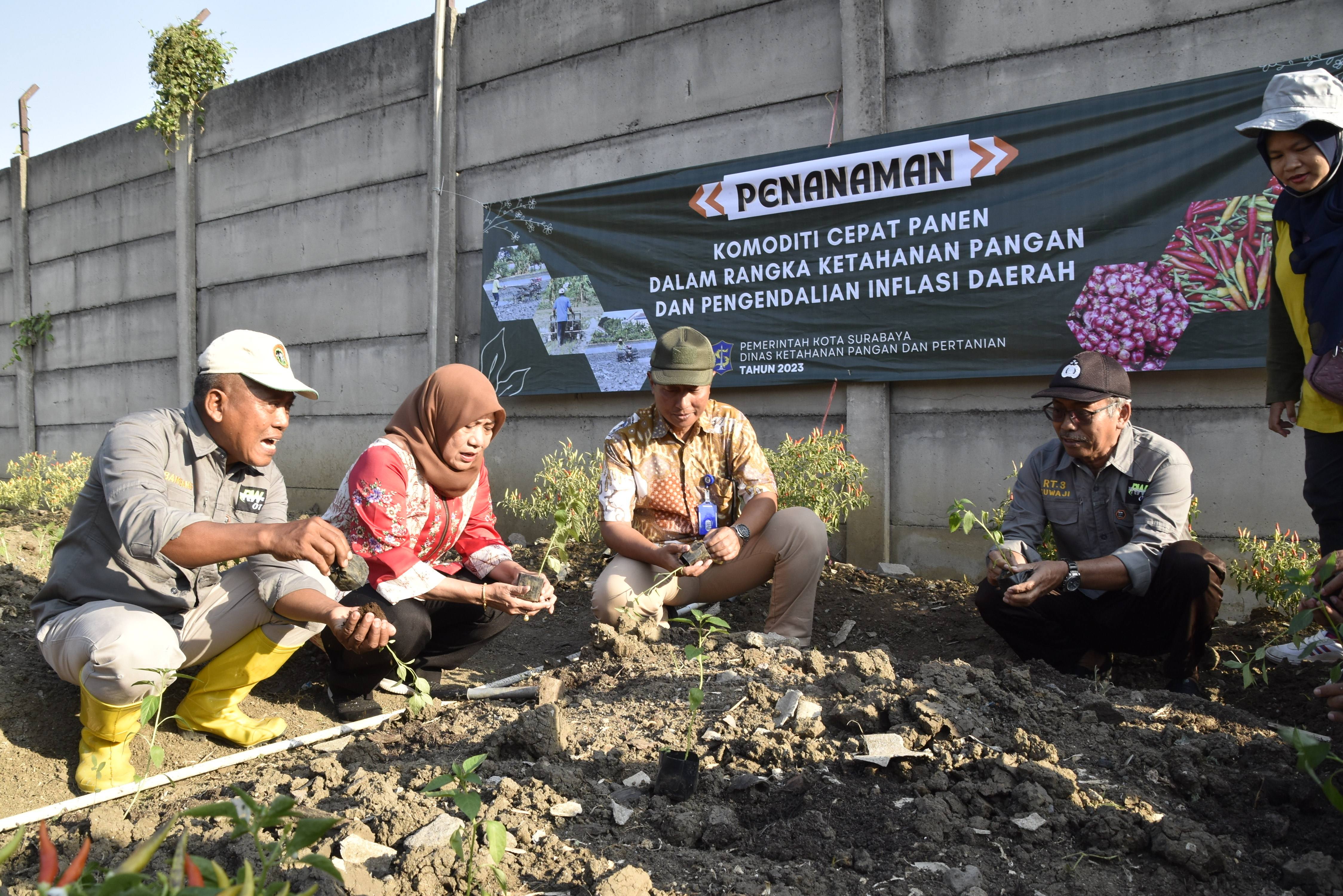 Pemkot Surabaya juga memanfaatkan lahan Bekas Tanah Kas Desa (BTKD) dan Hutan Raya yang memungkinkan untuk penanaman cabai.