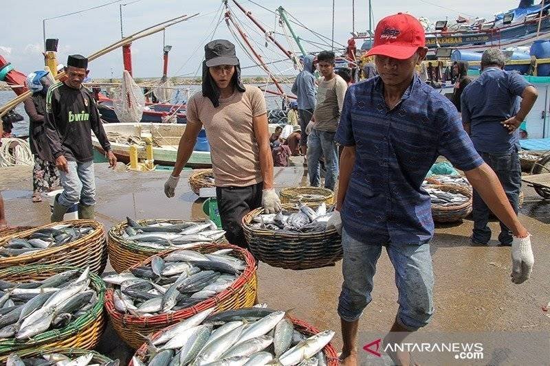 Ilustrasi - Nelayan membawa ikan hasil tangkapan di Pelabuhan Perikanan Samudera (PPS) Kutaraja di Lampulo, Banda Aceh. (ANTARA/Khalis)
