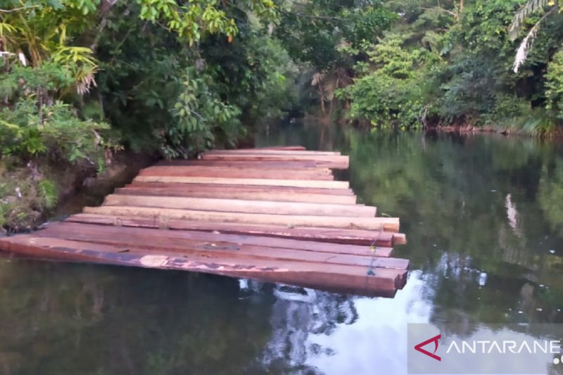 Sebanyak 47 kayu ilegal berbentuk balok kaleng yang diduga hasil pembalakan liar di Hutan Produksi Terbatas (HPT) Air Manjuto.(Foto Dok Istimewa)

