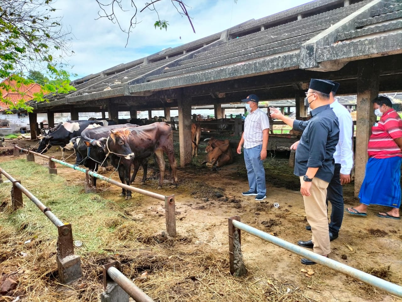 RPH Kota Surabaya melakukan tindakan pencegahan terhadap masuknya wabah Penyakit Mulut dan Kuku yang menjangkit hewan ternak. 