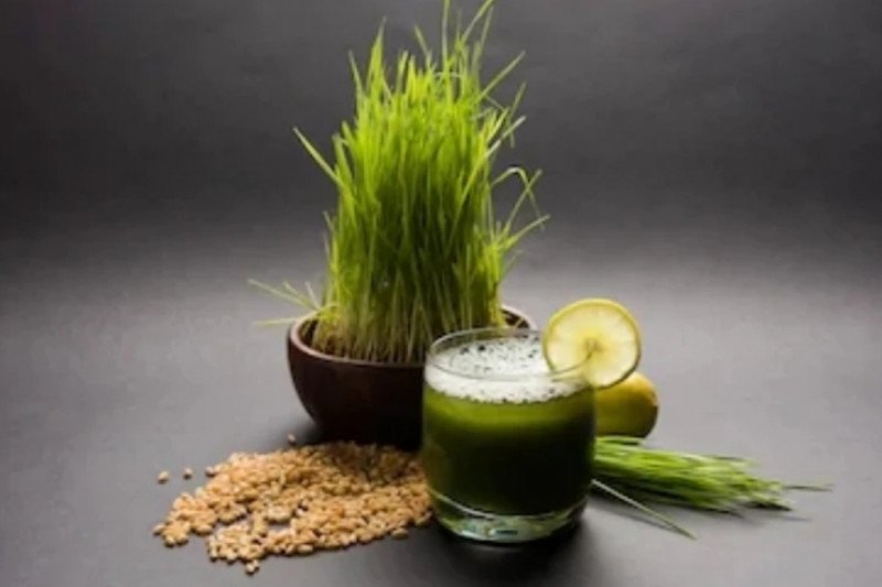 Butuh Nutrisi di Pagi Hari? Minum Jus Rumput Gandum
