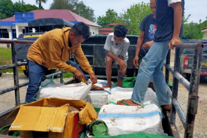 Sebuah mobil pick up yang diamankan saat memuat ratusan kilo gram daging rusa secara ilegal di Labuan Bajo, Kabupaten Manggarai Barat, Nusa Tenggara Timur, yang hendak dibawa ke Bima, Nusa Tenggara Barat, pada Senin (21/12/2020). (ANTARA/HO-Gakkum KLHK Wi