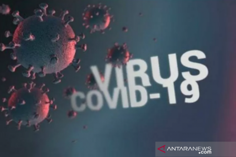 Ilustrasi virus Covid-19. ant