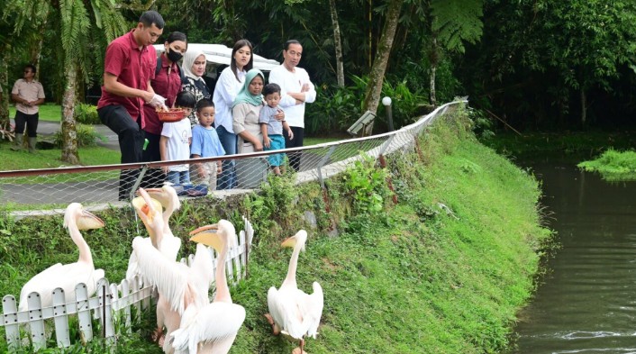 Presiden Joko Widodo bersama Ibu Iriana Joko Widodo menikmati nuansa alam dan wisata satwa di The Hill Hotel and Resort, Kabupaten Deli Serdang, Provinsi Sumatra Utara pada Sabtu, 13 April 2024. Foto: BPMI Setpres/Muchlis Jr