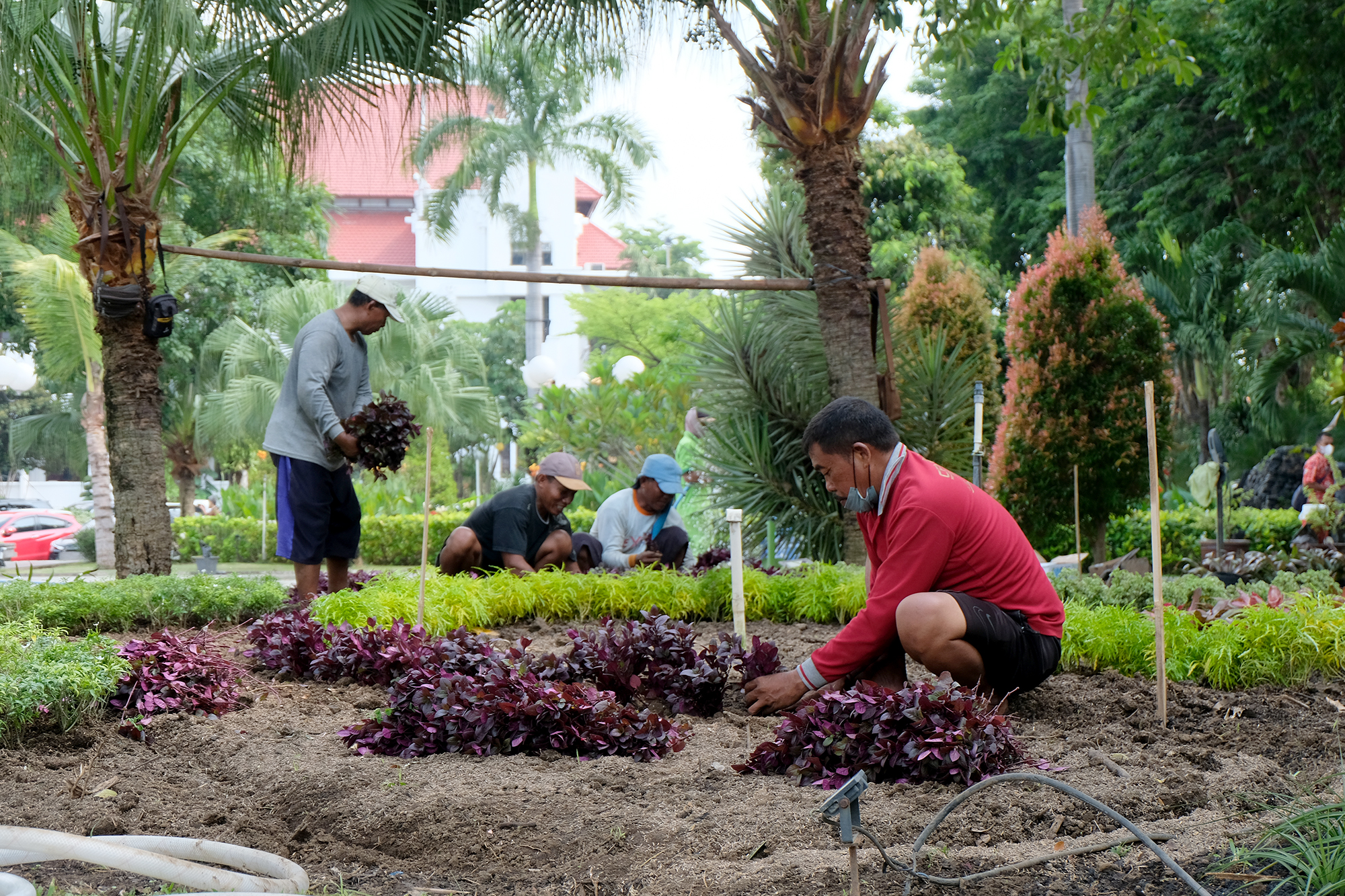Taman Surya Surabaya Segera Dibuka untuk Publik