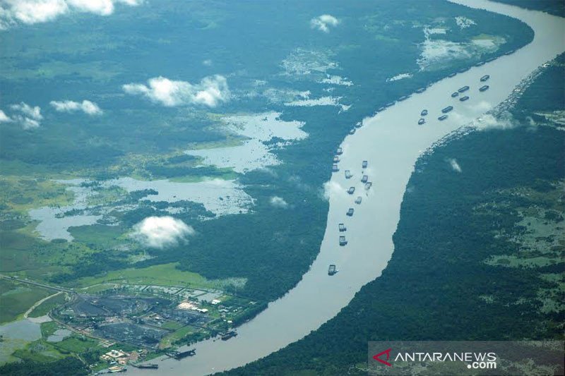 Puluhan tongkang batu bara berlabuh di kawasan pelabuhan stock file milik salah satu perusahaan tambang batu bara di Sungai Barito wilayah Kalimantan Tengah.ANTARA FOTO/Kasriadi/nz

