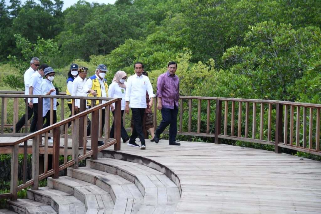 Presiden Jokowi meninjau Tahura Ngurah Rai Bali, Kota Denpasar, Kamis (06/10/2022). Foto: (BPMI Setpres/Lukas)


