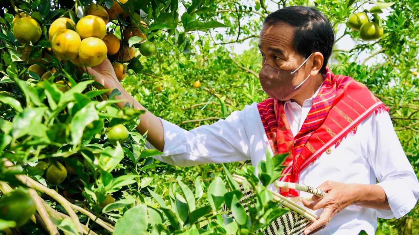 Presiden Joko Widodo meninjau Kampung Jeruk, Liang Melas Datas, Kabupaten Karo, Provinsi Sumatera Utara, pada Jumat, 4 Februari 2022. Foto: BPMI Setpres/Laily Rachev