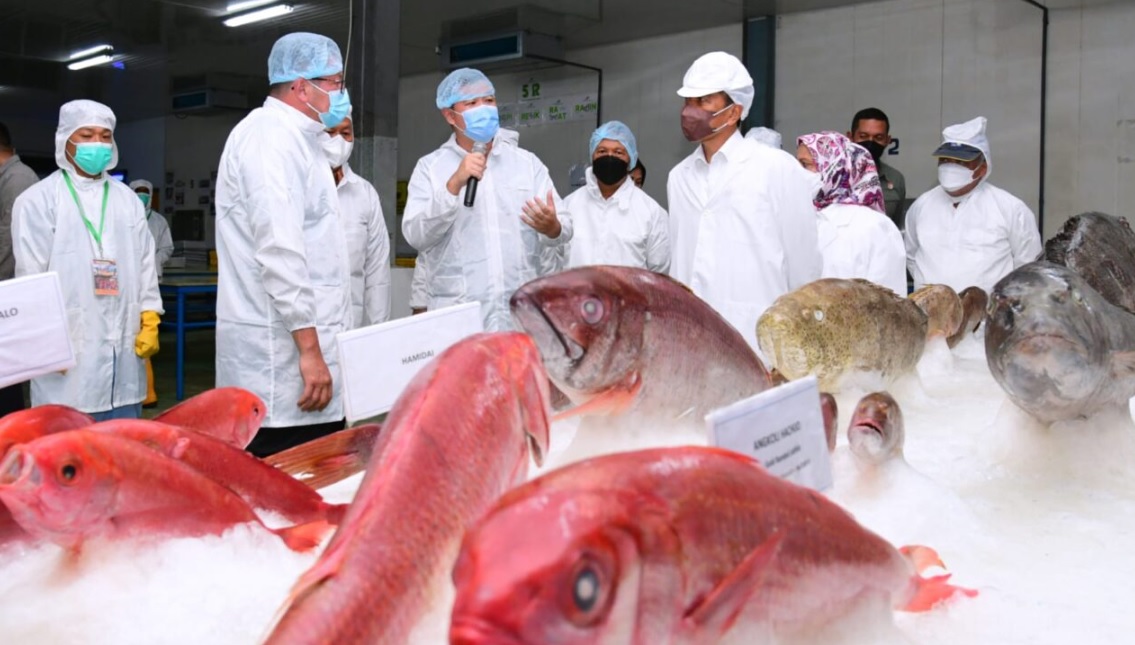 Presiden Joko Widodo dan Ibu Iriana Joko Widodo meninjau unit pengolahan ikan di PT Samudera Indo Sejahtera, Kota Tual, Rabu, 14 September 2022. Foto: BPMI Setpres/Muchlis Jr.