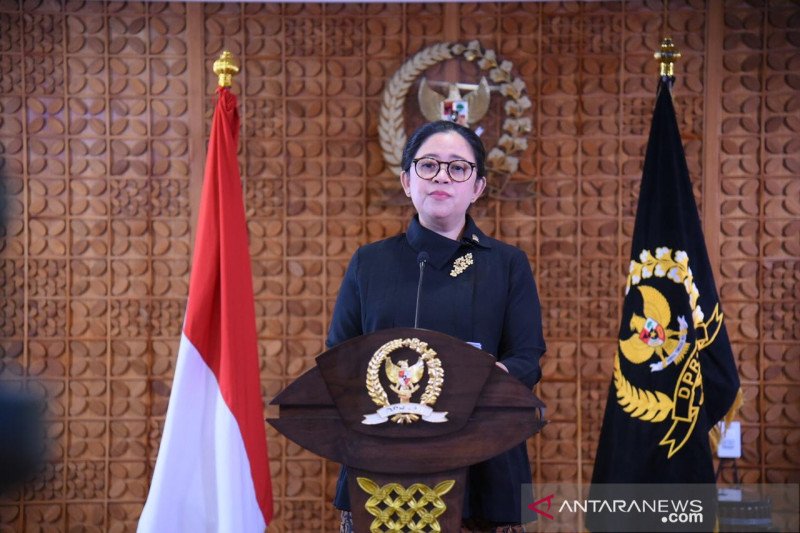 Ketua DPR RI Puan Maharani (Istimewa)

