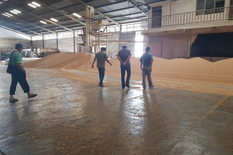 Satgas Pangan Bareskrim Polri saat mengecek ketersediaan kedelai ke gudang importir kedelai PT Segitiga Agro Mandiri, Bekasi, Jawa Barat. (ANTARA/ HO-Polri)
