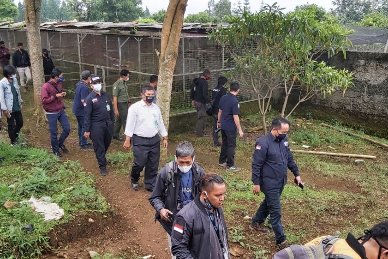 Rombongan penyidik Subdit I Dittipiter Bareskrim Polri dengan Polres Sukabumi, Polda Jawa Barat, Ditjen Konservasi Sumber Daya Alam Ekosistem (KSDAE) dan Balai Besar KSDA Provinsi Jawa Barat saat mendatangi kandang penangkaran burung di Kampung Tenjolaya 