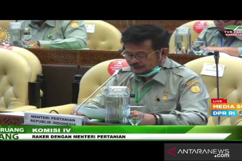 Menteri Pertanian (Mentan) Syahrul Yasin Limpo dalam Rapat Dengar Pendapat bersama Komisi IV DPR di Jakarta, Senin (25/1/2021). ANTARA/Mentari Dwi Gayati

