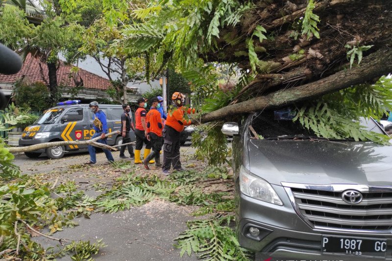 Angin Kencang, Tiga Terluka Tertimpa Reklame di Jember