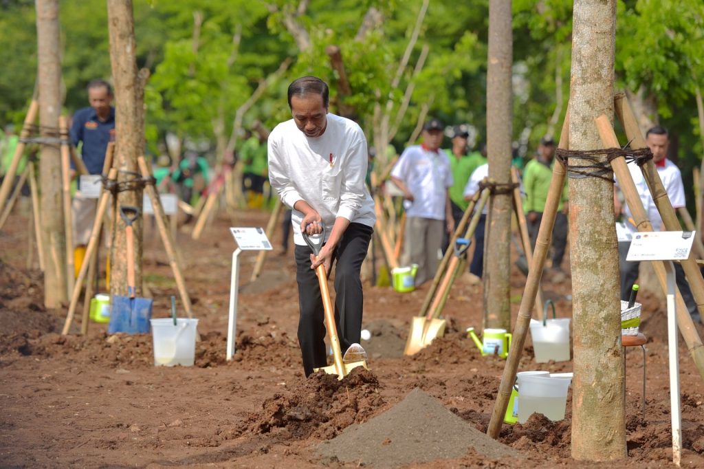 Presiden Jokowi menghadiri acara Gerakan Tanam Pohon Bersama di Hutan JIEP Kawasan Industri Pulo Gadung, Jakarta Timur, Rabu (29/11/2023). (Foto: Humas Setkab/Agung)