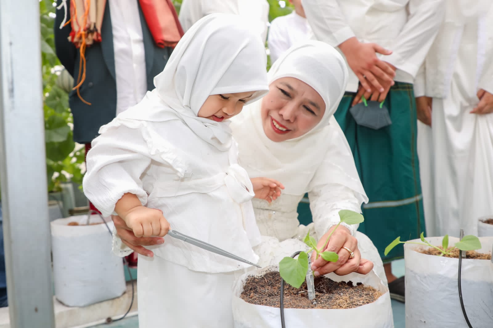 Usai melakukan sholat Idul Adha di Masjid Al Akbar Surabaya (MAS), Gubernur Jawa Timur Khofifah Indar Parawansa berkesempatan mengajak Aila cucunya, untuk belajar menanam bibit Golden Melon varietas Alisha F1 di Green House yang berada di halaman MAS, Kam