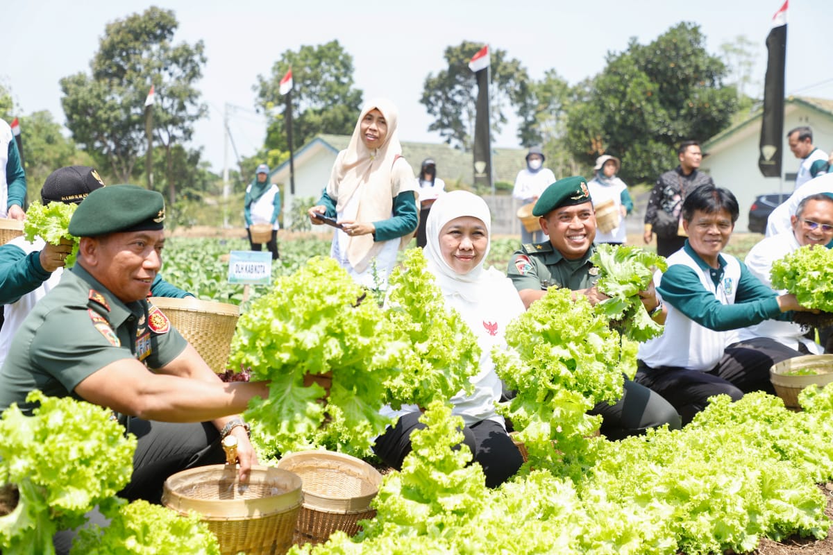 Gubernur Jawa Timur Khofifah Indar Parawansa bersama Panglima Divisi Infanteri 2 Kostrad Malang Mayor Jendral TNI Haryanto menanam 10 Ribu pohon di lahan produktif yang ada di kawasan Mako Divif 2 Kostrad Malang, Senin (4/9).