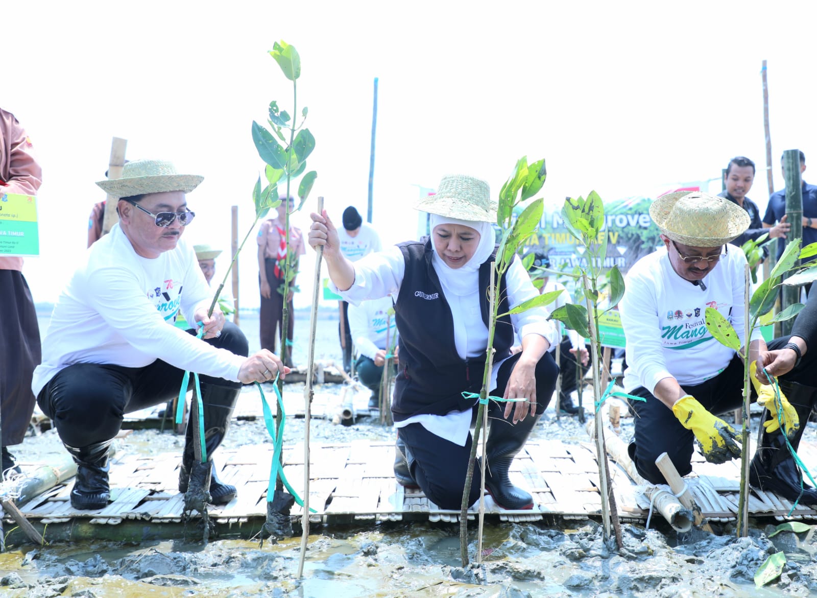 Gubernur Khofifah: Wujud Penguatan Ekosistem Mangrove dari Hulu ke Hilir